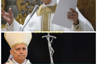 Pope Leo XIV Just Redefined Papal Power — The Shocking First Consistory That Will Change the Church Forever 😱 Pope Leo XIV has just made a groundbreaking move by redefining papal power, and the world is watching closely. His first consistory has already sent shockwaves through the Vatican, marking a dramatic shift in how the Church will be led. What does this redefinition mean for the future of Catholicism, and how will it affect the way the Church operates? Prepare for a revelation that could reshape papal authority for generations to come. 👇