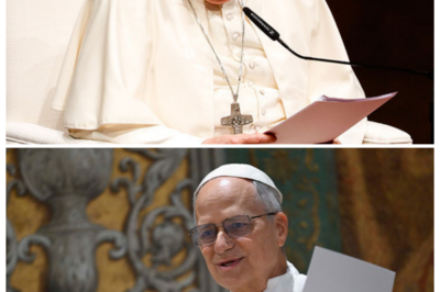 3 Days of Darkness: Pope Leo XIV Finally Speaks Out—What He Reveals Will SHOCK the World ✝️💥 Pope Leo XIV has broken his silence after the mysterious “3 days of darkness” prophecy has captured the world’s attention, and his words will send shockwaves through the faithful. What did the Pope say about this chilling event, and how will it affect the Church’s role in the coming crisis? The truth behind his message is darker, more urgent, and more profound than anyone expected. 👇