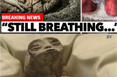 AI Sparks Panic With Claims the Nazca Mummies Are “Still Alive”
