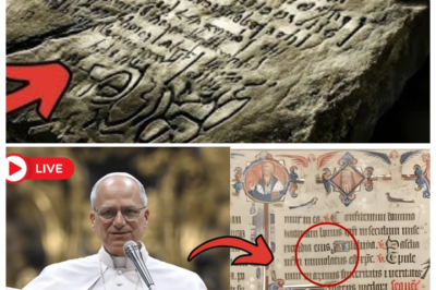 📜 POPE LEO XIV UNSEALS A FORBIDDEN SCROLL FROM THE VATICAN VAULTS — CLAIMS IT REVEALS CHRIST’S “FINAL COMMANDMENT” HIDDEN FOR 2,000 YEARS, AND NOW CARDINALS ARE SCRAMBLING TO EXPLAIN THE SILENCE 🕯️ In a candlelit archive beneath St. Peter’s, the pontiff allegedly unveiled brittle parchment that insiders say could rewrite everything believers thought they knew, sparking whispers of cover-ups, shattered dogma, and a Church terrified of its own past 👇
