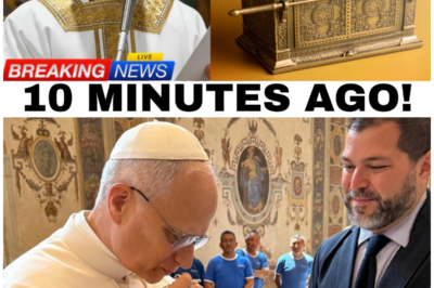 Pope Leo XIV’s Shocking Revelation: Could This Artifact Be Linked to the Ark of the Covenant?