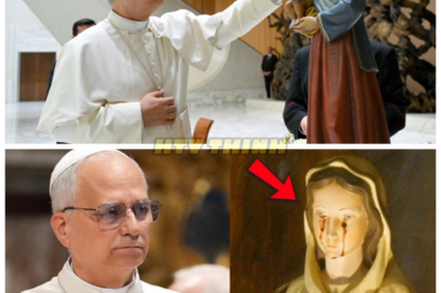 The Statue of Mary Wept Blood During Mass — Pope Leo XIV’s Unbelievable Decision to Continue the Ceremony 😱 In a shocking and unexplained event, a statue of the Virgin Mary began to weep blood during Mass, leaving everyone in the Church stunned. Yet Pope Leo XIV made an unexpected decision: he refused to stop the ceremony. What could this divine event mean, and why did the Pope continue with the Mass despite the chilling sign? The truth behind this miraculous moment is far more profound than anyone could have imagined. 👇
