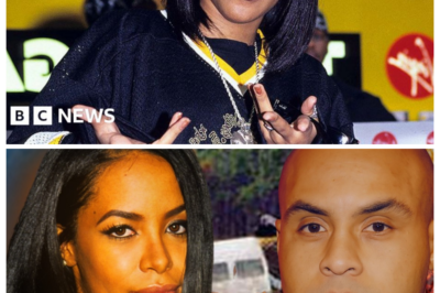 THIS IS WHAT HAPPENED TO HYPE WILLIAMS AFTER AALIYAH’S PLANE CRASHED – THEY STILL BLAME HIM