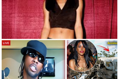 Locked Vault Secrets: What Static Major Really Knew the Night Aaliyah Fell