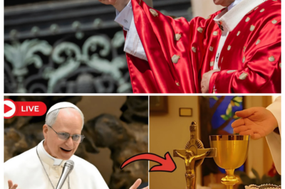 ✝️ POPE LEO XIV DROPS A HOLY THUNDERBOLT — ELEVEN SACRED CEREMONIES ERASED OVERNIGHT, VATICAN IN PANIC, TRADITIONS SHATTERED LIKE STAINED GLASS 💥 What began as a quiet morning decree turns into a spiritual earthquake as centuries-old rituals are abruptly canceled, incense still hanging in the air while stunned priests clutch their vestments and whisper, “This can’t be happening,” leaving the faithful wondering if the Church they knew just vanished before their eyes 👇