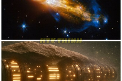 James Webb Discovers Artificial Lights on 3I/ATLAS—The Find That No One Saw Coming 🔥 In a groundbreaking moment, the James Webb Space Telescope has spotted artificial lights on 3I/ATLAS, a discovery that defies all expectations. What does this mean for the future of space exploration, and why are scientists struggling to explain it? This unexpected find raises more questions than answers, and the truth could change everything. Want to uncover the full story? Check the comments for all the explosive details!👇