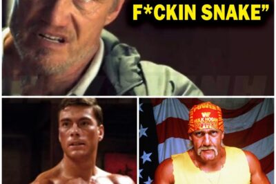 🎰 5 Hollywood Stars Dolph Lundgren Refuses to Work With Again — And the Shocking Stories Behind Each Feud