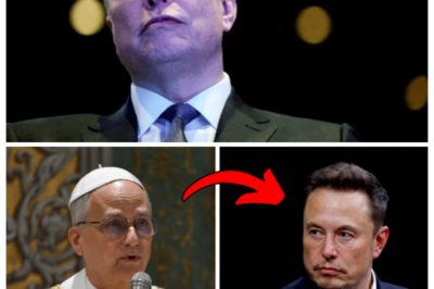 Elon Musk publicly mocks the Church — what Pope Leo XIV does next SHOCKS everyone!