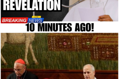 Secrets Beneath St. Peter’s: How a Hidden Chamber Threatens to Rewrite Faith