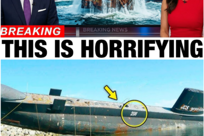 RMS Lusitania Wreck Reveals Terrifying Secrets: Drone Footage Challenges Century-Old Official Story