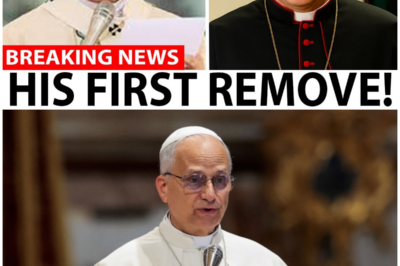 Pope Leo XIV’s LATEST Move SHOCKS The Vatican!