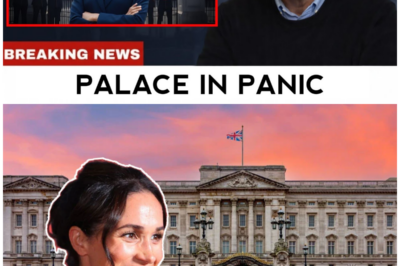 JUST NOW: Meghan Markle’s Latest Move Raises Serious Palace Concerns