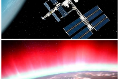 “Astronauts’ Minds Blown by Unprecedented Events on the ISS! 🚀”  “Just when you thought space couldn’t get any more thrilling!” Just days ago, astronauts aboard the ISS were left in awe after a series of mind-blowing discoveries that defied their wildest imaginations! As they gear up for what promises to be an even crazier week ahead, the crew is buzzing with excitement. “If this is just a sneak peek, I can’t wait to see what’s coming!” one astronaut exclaimed, hinting at groundbreaking experiments that could change our understanding of space. With the universe full of surprises, what else will these brave explorers unveil? The thrill is palpable! 👇