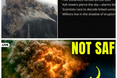“FILIPINO SUPERVOLCANOES RISE: SCIENTISTS IN SHOCK AS ALL AWAKEN AT ONCE! 🌪️😲” In a dramatic geological twist, the supervolcanoes of the Philippines have all awakened simultaneously, sending shockwaves through the scientific community and igniting fears of impending eruptions! “This is a scenario we hoped to avoid, and yet here we are!” a renowned geologist lamented, as seismic activity spikes dramatically. 🌋🔥 With implications for millions living nearby, this extraordinary event has raised urgent questions about volcanic activity and disaster readiness. What do we need to know to stay safe? The answers could save lives! 👇