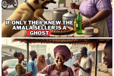 If Only They Knew Why Dogs Kept Barking At The Amala Seller