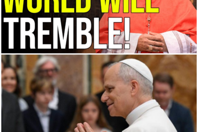The VIRGIN MARY warns Pope Leo XIV: what is coming will SHAKE the world!