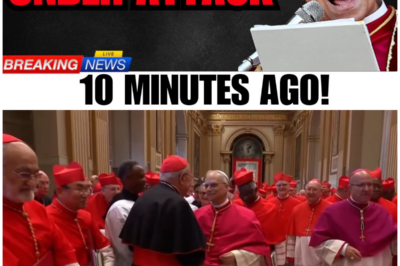🔥 When Cardinals Rebel: Did Pope Leo XIV Push the Vatican Too Far? 🔥