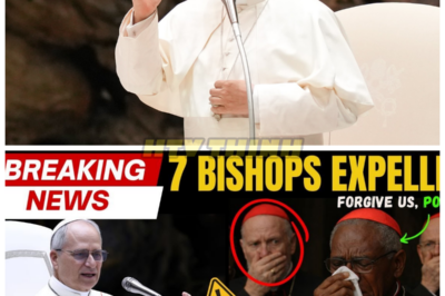 Pope Leo XIV Shocks the Church — Bans 7 Bishops for Mysterious Reasons, Leaving the Vatican in Turmoil 😱 The Vatican is reeling after Pope Leo XIV issued a stunning decree banning seven bishops—without explanation. The Church is now in chaos, as insiders scramble to understand the reasoning behind such an unprecedented move. Why were these bishops removed? What’s really going on behind the scenes? The Pope’s decision has sparked whispers of a scandal, leaving the faithful in shock and uncertainty. The Vatican has never seen a power move like this before. 👇