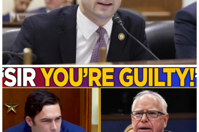 “Congressman Calls Out Tim Walz: ‘The Somali Fraud Scandal Is Bigger Than We Thought!’ 😲📉”  In a stunning accusation that has caught everyone off guard, a congressman has declared, “The Somali fraud scandal is bigger than we thought, and Tim Walz is involved!” As he unveils shocking evidence of alleged misconduct within the Somali community, the congressman’s claims could have far-reaching implications for Walz’s political career. With the stakes higher than ever, this explosive revelation promises to shake the foundations of Minnesota politics and ignite a fierce debate about ethics and governance. Don’t miss the details of this unfolding scandal! 👇