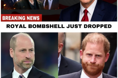 Prince William and Princess Anne’s Heartbreaking Ultimatum: Harry’s Royal Exile Confirmed!