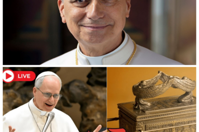 Pope Leo XIV Declares That a Recently Found Artifact Could Be Linked to the Ark of the Covenant