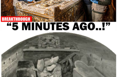 Archaeologists Stunned: What They Found Inside King Henry VIII’s Hidden Vault Will Change History!