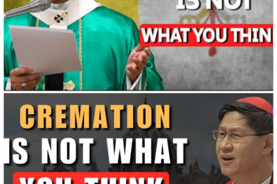 🔥 “Fire Can’t Touch Eternity”—Cardinal Tagle FINALLY Breaks the Silence on Cremation, and His Words Send a Chill Through Believers Worldwide 😱🕯️ In a hushed but electrifying tone, the narrator leans in as Cardinal Tagle dismantles rumors, superstition, and half-truths, revealing a spiritual reality far deeper than ashes and urns, forcing Catholics to confront what truly survives the flames and why the soul’s journey may be more unsettling—and more hopeful—than anyone was prepared to hear 👇