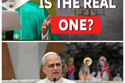 WHAT’S THE DIFFERENCE BETWEEN CATHOLIC, PROTESTANT & ORTHODOX BIBLES? Insights from Pope Leo XIV