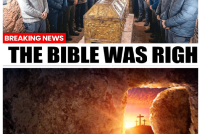 ARCHAEOLOGISTS JUST DISCOVERED SOMETHING BENEATH JESUS’ TOMB IN JERUSALEM… AND IT’S BAD  A recent archaeological revelation beneath the TOMB OF JESUS in Jerusalem has stunned historians and theologians alike. Initial reports suggest structures, artifacts, or findings that challenge long-held assumptions about the sacred site, its history, and the events surrounding the crucifixion and resurrection. Experts warn that these discoveries could reshape centuries of biblical scholarship and ignite debate across religious communities. What was uncovered, why it’s being called “bad,” and how it might affect faith and history remain hotly debated topics. Read the full article via the link in the comments.