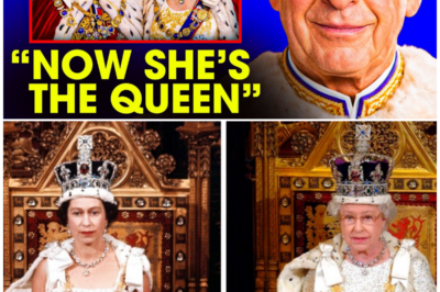 Anne’s Secret Journey: From Kidnapping Survivor to the Monarchy’s Hardest Worker!