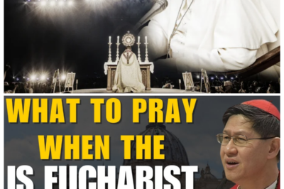 🔥 “DON’T JUST WATCH—RESPOND!” The Moment the Eucharist Is Lifted, Cardinal Tagle’s SECRET Instruction Demands a Radical Inner Act That Most Catholics NEVER Do 😱🕊️ In a hushed, dramatic tone, the narrator reveals how this split-second gesture isn’t passive at all, but a spiritual crossroads where silence can mean distance and intention can mean transformation, as Tagle’s rarely discussed guidance exposes how millions attend Mass yet miss the most dangerous and powerful moment hiding in plain sight 👇