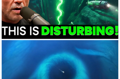 They Went to the Bottom of The Mariana Trench — And Found the Future of Power and Life