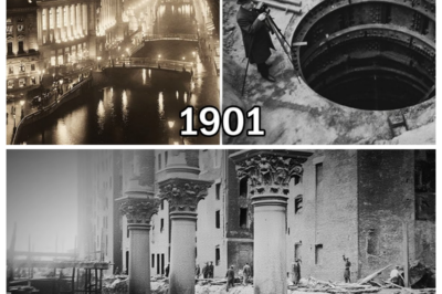 Buried Mudflood City Found in Jacksonville 1901 – They Knew and Never Told Us