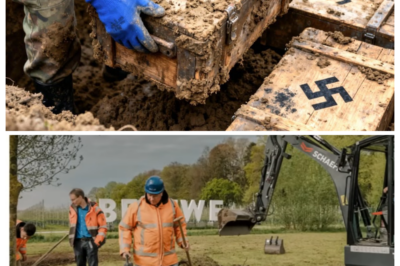Dutch People Dug Hidden Boxes From World War 2 — What They Found Inside Will Leave You Speechless