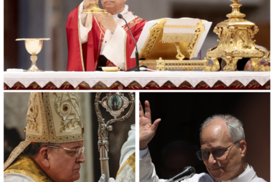 ⚡ POPE LEO XIV SHOCKS THE PLANET: “15 MAJOR CHANGES” RUMORED TO RIP THROUGH CATHOLIC TRADITIONS AS CARDINAL BURKE STANDS FROZEN AND INSIDERS CLAIM THE OLD RULES MAY NEVER COME BACK — Cue the ominous music as Rome’s ancient walls tremble, because what’s being whispered isn’t gentle reform but a full-blown ecclesiastical earthquake, with traditions rewritten, power structures rattled, and Cardinal Burke cast as the silent symbol of resistance while believers worldwide wonder if faith itself just entered its most dramatic season yet 👇