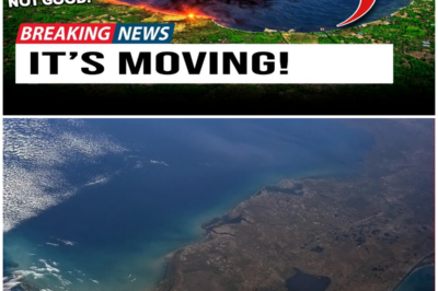 😱 Florida Lowering Lake Okeechobee Reveals Something Moving Below No One Expected 😱 – HTT