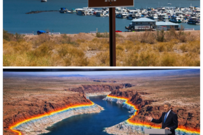 Cam Footage From Lake Mead Reveals Something Terrifying... Scientists Are Worried...  Lake Mead’s water levels surged unexpectedly in 2023, rising over twenty feet after years of relentless decline. At first glance, this might seem like a dramatic recovery, a rare win against a devastating drought that has gripped the Southwest. But what if this rebound is more dangerous than reassuring?    Beneath the surface of returning water lies a disturbing story—contaminants stirred from decades-old sediments, fragile infrastructure pushed to its limits, and a political system unprepared for harsh realities. The footage along the shoreline reveals more than revival; it exposes unsettling secrets we can’t afford to ignore.