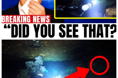 Jacob’s Well: Drone Footage Reveals Deadly Secrets Beneath Texas’ Most Beautiful Spring