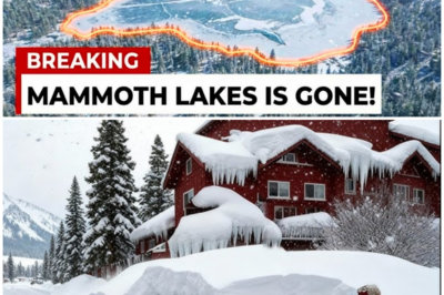 😱 CHAOS IN CALIFORNIA! Mammoth Lakes Buried Under a Massive Snowdrift, Homes and Vehicles Destroyed…  😱 – HTT