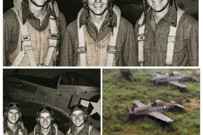 3 Fighter Pilots Vanished In 1944 — 75 Years Later, Their Planes Were Found Almost Intact…  On October 15, 1944, three American P-51 Mustangs took off from Bodney Airfield in England for a routine patrol over occupied Belgium. The weather was perfect. The pilots were experienced. The planes were serviced and fueled.  They never came back.  No distress signals were received. No enemy engagement was reported. No wreckage was found. Lieutenants Daniel Garrett, Francis Holbrook, and Robert Whelan simply vanished from the sky at 14:47, their radio transmissions cutting off mid-sentence. The Army searched for two weeks before declaring them missing, presumed dead. Their families buried empty coffins.  But in 2019, excavation for a Belgian wind farm uncovered something twelve feet beneath a field that had been untouched since the war: three P-51 Mustangs arranged in a perfect defensive triangle, their fuselages intact, their pilots still strapped in their seats. The planes hadn’t crashed, they’d been buried.  When investigators opened Danny Garrett’s cockpit, they found his remains clutching a torn journal page against his chest, four words written in his shaking hand: “They made us disappear.”  What the recovery team discovered next would reveal why the Allied Command had erased all records of that patrol, why three pilots’ families had been lied to for sixty-five years, and why someone had gone to extraordinary lengths to bury three planes and their pilots in a Belgian field rather than let anyone discover what they’d seen on October 15, 1944.