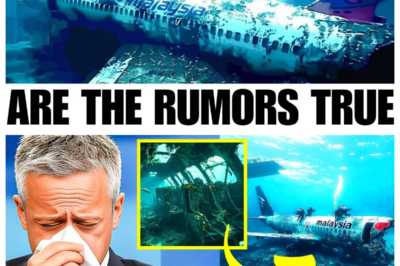 After 11 Years, Underwater Drone FINALLY Revealed The Location Of Malaysian Flight MH370!