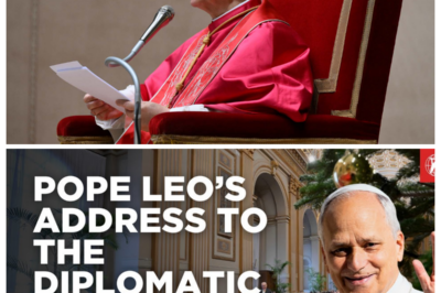 Pope Leo XIV’s Address to the Diplomatic Corps