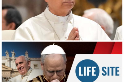 BREAKING: POPE LEO XIV CORRECTS THE RECORD ON COHABITATION & MARRIAGE