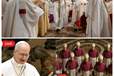 ⛪ POPE LEO XIV RIPS OUT A PILLAR OF CATHOLIC TRADITION AND SETS OFF A VATICAN CHAIN REACTION AS CARDINALS SCRAMBLE, ALLIANCES FRACTURE, AND CENTURIES OF CERTAINTY SHAKE UNDER MARBLE FLOORS — The narrator almost laughs as calm smiles clash with frantic whispers, because this wasn’t reform, it was a surgical strike, the kind that leaves incense hanging in the air while senior churchmen rush to plug leaks, rewrite talking points, and convince the faithful this earthquake was always part of the plan 👇👇