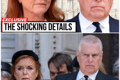 Fergie’s Scandalous Rise and Fall: The Truth Behind Her Marriage to Prince Andrew!