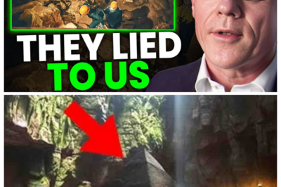 Archaeologists Just Opened a Sealed Chamber in the Amazon — What They Found Inside Shouldn’t Exist