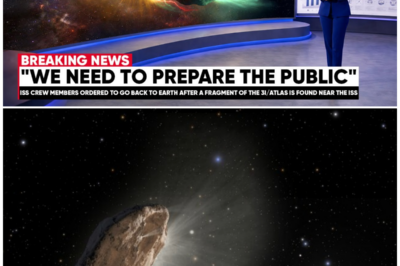 3I/Atlas: The Interstellar Rebel Defying Physics and Leaving Scientists Speechless — What Is It Really?