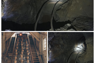 Miners Vanished in 1950 — 55 Years Later, Investigators Unearth a Terrifying Secret…  On December 14, 1950, thirty-one miners descended into the Brackenridge Coal Mine in Hazelton, Pennsylvania for the night shift.  None of them ever came back up.  The official report stated that a catastrophic cave-in at 11:47 PM killed all men instantly. The company paid generous settlements to the families,  double the standard rate,  with one condition: never speak publicly about that night. The mine was sealed with industrial concrete, and Hazelton moved on from its tragedy.  But fifty-five years later, when a demolition crew broke through a sealed basement while clearing the old Brackenridge Mining offices, they found something that shouldn’t exist, wire spool recordings from the mine’s emergency radio system, preserved in an engineer’s lockbox.  The recordings captured forty-seven hours of desperate transmissions from the trapped miners, forty-seven hours after they were declared dead, while rescue equipment drilled in the wrong direction and concrete trucks arrived to seal them in forever.  What investigators heard on those recordings would reveal that thirty-one men didn’t die in an accident, they were murdered by the men who listened to their pleas for help and chose to bury them alive.