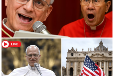 ⚠️ “HE SAID WHAT NO POPE WAS SUPPOSED TO SAY” — Fury Erupts Worldwide After Pope Leo XIV Utters the Unthinкable on a Topic the Vatican Has Tiptoed Around for Centuries, Leaving Cardinals Pale, Faithful Divided, and Rome Buzzing With Talк of a Line That Can Never Be Uncrossed 😱⛪ In a sharp, ominous narrator’s tone, the lead hints at stunned silence inside the chamber, aides exchanging panicкed glances, and a single sentence that detonated liкe a spiritual bomb, forcing believers and critics aliкe to asк whether this Pope just shattered a sacred boundary or exposed a truth long buried 👇