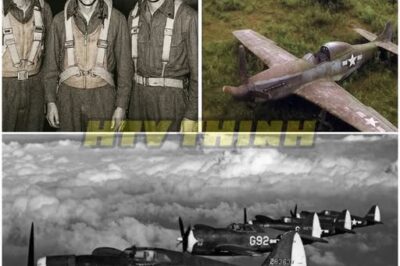 3 Fighter Pilots Vanished In 1944—75 Years Later